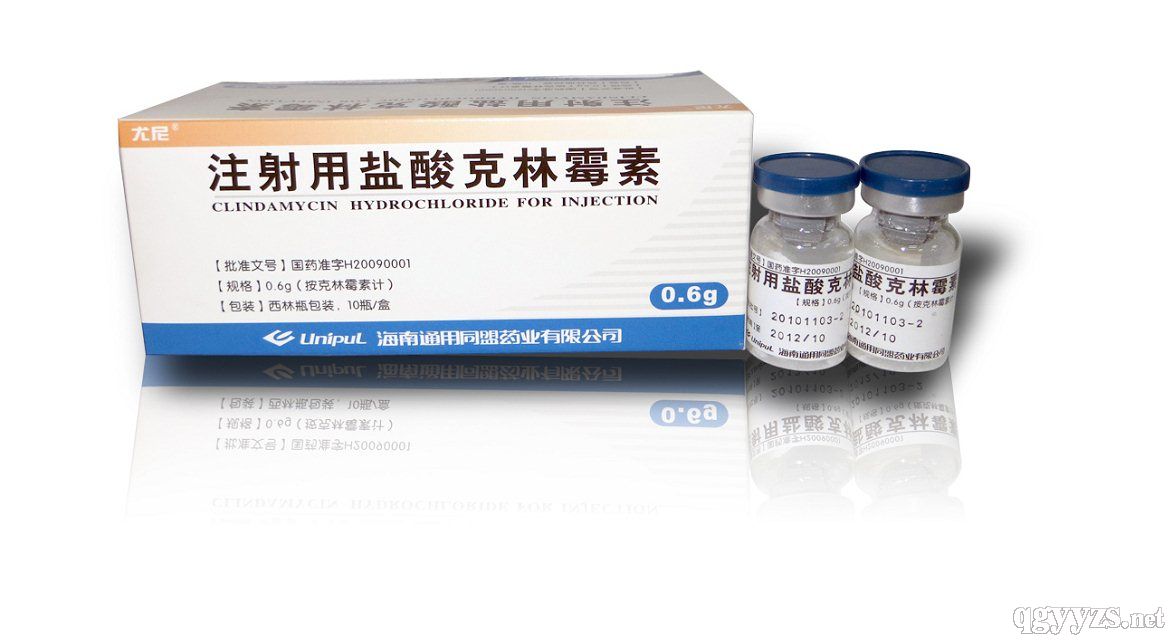 克林霉素注射劑 產業機遇下的雙刃劍效應與合規經營路徑